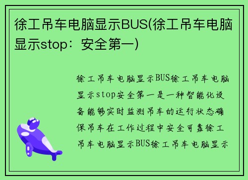 徐工吊车电脑显示BUS(徐工吊车电脑显示stop：安全第一)